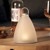 Eva Solo - SunLight Bell Lamp Small (571327) thumbnail-4