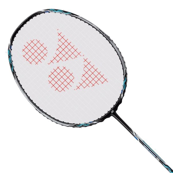 fenix 5 badminton