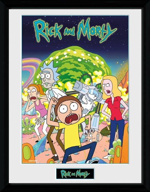 Rick and Morty Compilation Framed Photographic Print 30x40cm