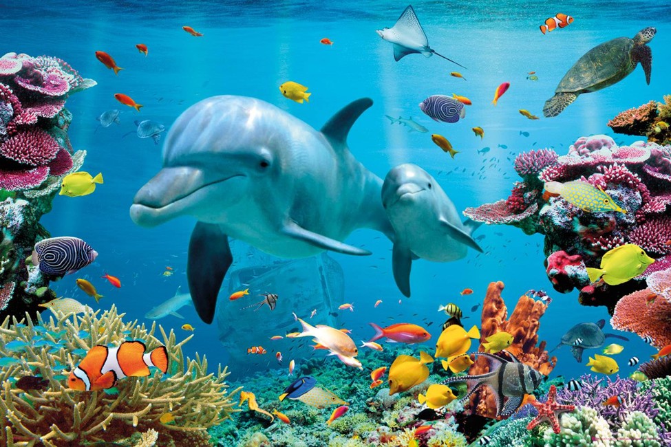 Tropical Underwater Ocean Maxi Poster 61x91.5cm