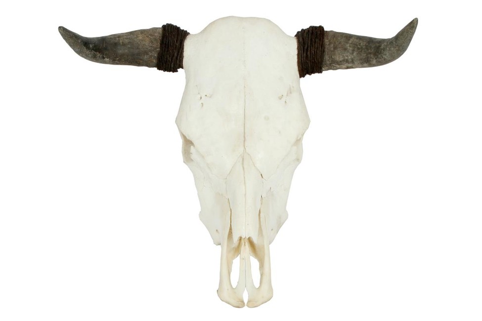 Muubs - Kranium Oxen
