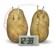 4M Green Science - Kartoffel ur thumbnail-2