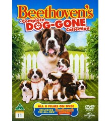 Beethoven's Complete Dog-Gone Collection (8 film) - DVD