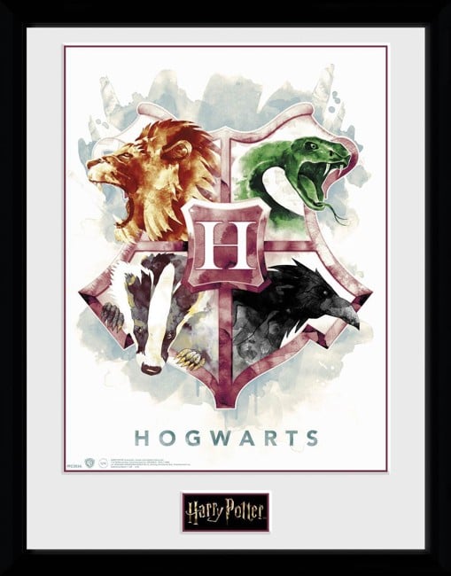 Harry Potter Hogwarts Water Colour Framed Collector Print