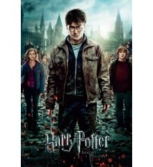 Harry Potter 7 Part 2 One Sheet Maxi Poster