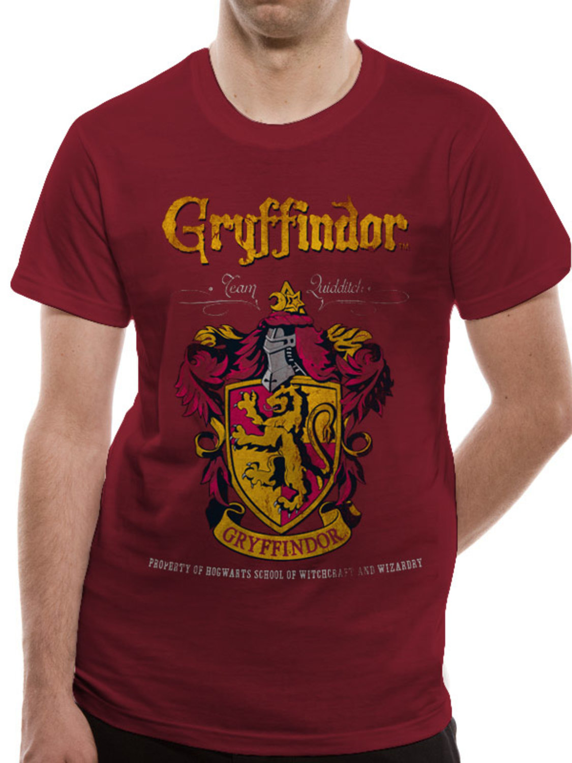 Buy Harry Potter Gryffindor Quidditch T Shirt