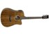 Tanglewood - Evolution Exotic TW28 CE X OV - Acoustic guitar thumbnail-1