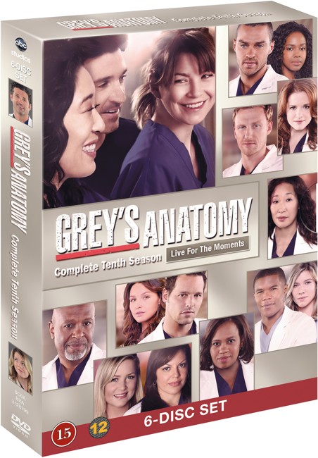 Greys Hvide Verden/Greys Anatomy - sæson 10 - DVD