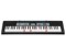 Casio - LK-136 - Transportabel Keyboard thumbnail-2