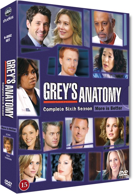 Greys Hvide Verden/Greys Anatomy - sæson 6 - DVD
