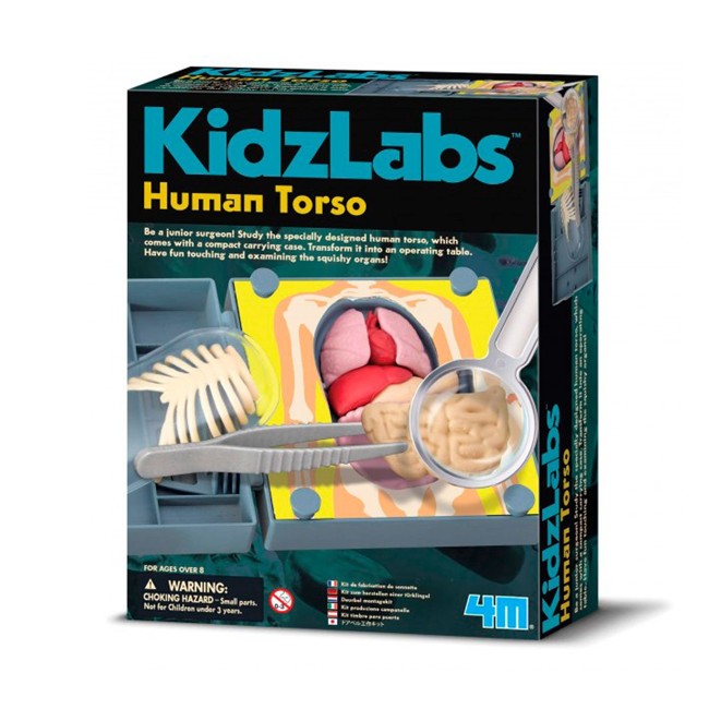 KidzLabs - Den Menneskelige Anatomi