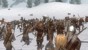 Mount & Blade: Warband thumbnail-10