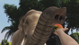 Zoo Tycoon: Ultimate Animal Collection thumbnail-2