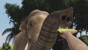 Zoo Tycoon: Ultimate Animal Collection thumbnail-5