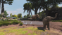 Zoo Tycoon: Ultimate Animal Collection thumbnail-7