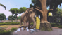 Zoo Tycoon: Ultimate Animal Collection thumbnail-17