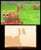 Nintendogs and Cats 3D: Toy Poodle (Select) thumbnail-5