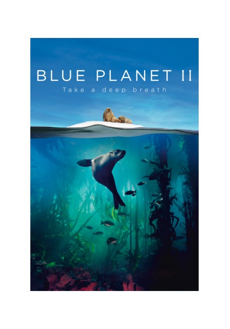 Blue Planet II - DVD
