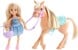 Barbie - Chelsea og Pony (DYL42) thumbnail-1
