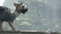 The Last Guardian (Collector's Edition) thumbnail-4