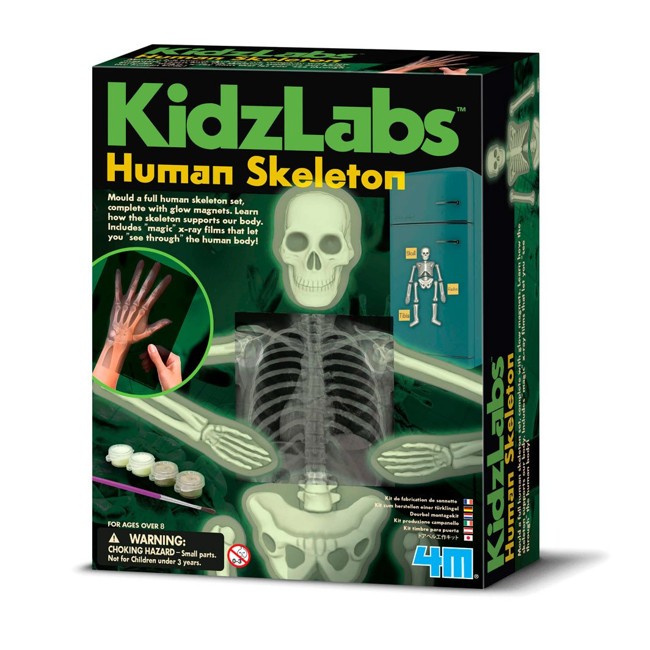 KidzLabs - Selvlysende Skelet