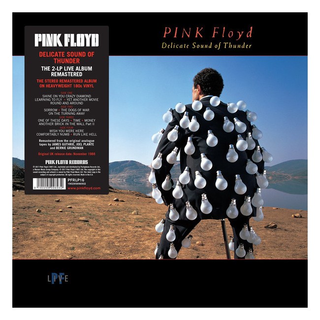 Pink Floyd ‎– Delicate Sound Of Thunder - 2Vinyl