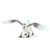 Schleich - Eldrador Creatures - Eis Greif (70143) thumbnail-4