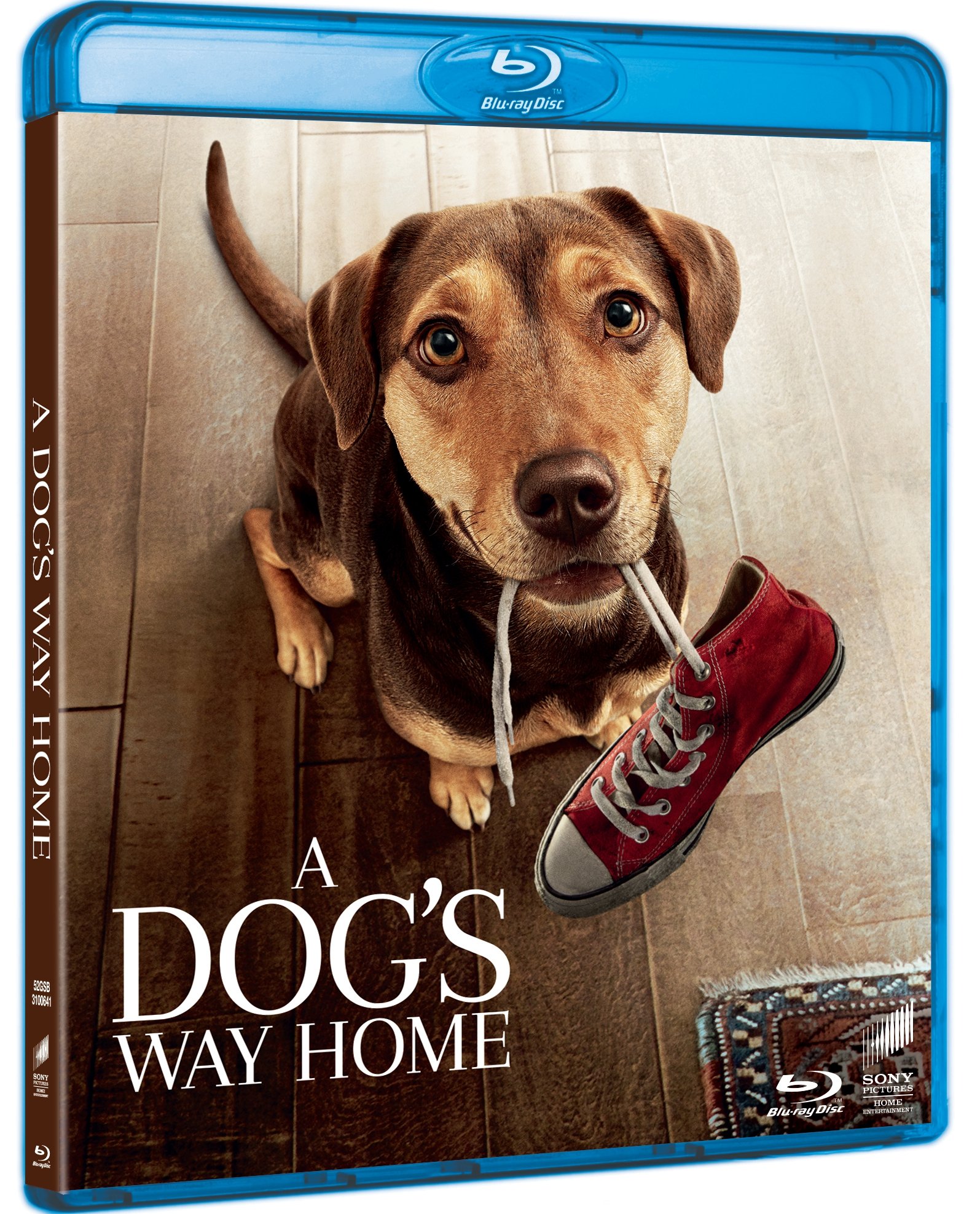 Dogs way. Путь домой 2019. A Dog's way Home. Dogs way Home turkce. Двд путь домой.