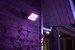 Philips Hue - Discover Black Outdoor - Weiß & Farbe Ambiance thumbnail-5