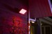 Philips Hue - Discover Black Outdoor - Weiß & Farbe Ambiance thumbnail-6