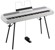 Korg SP-280 Digital Stage Piano (White) thumbnail-1