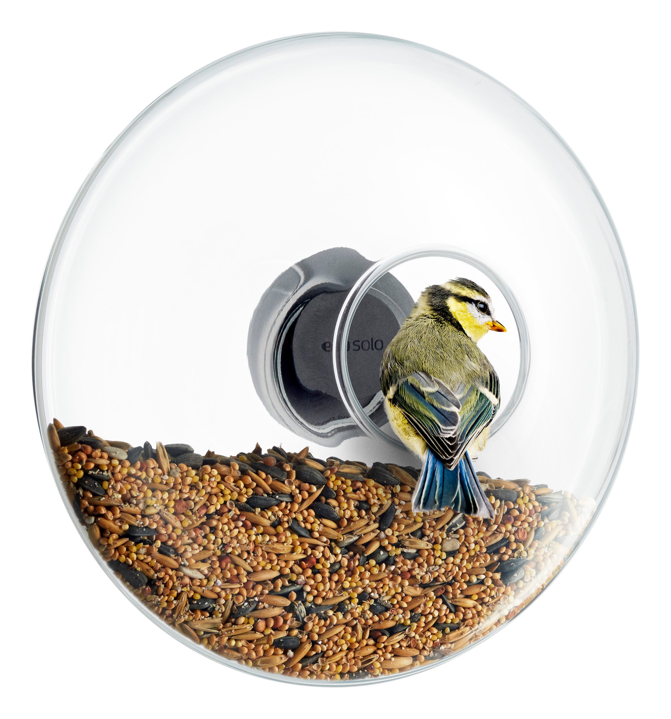 eva solo window bird feeder