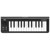Korg - MicroKEY 25 - USB MIDI Keyboard thumbnail-1