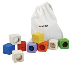 Plantoys - Activity Blocks (5531)