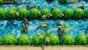 The Legend of Zelda: Link’s Awakening thumbnail-8