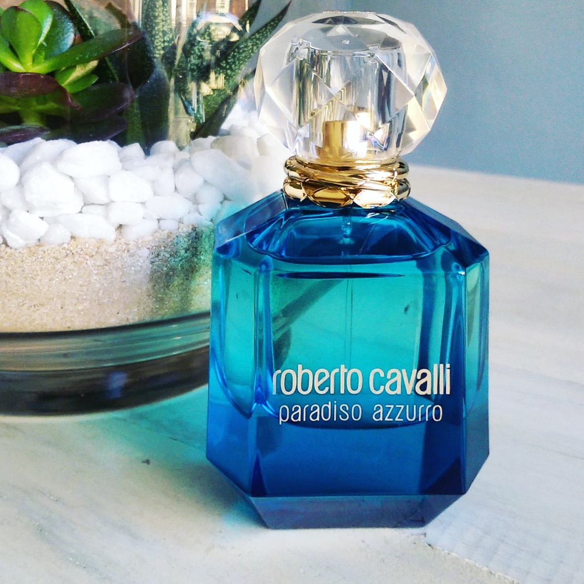 roberto cavalli paradiso azzurro edp