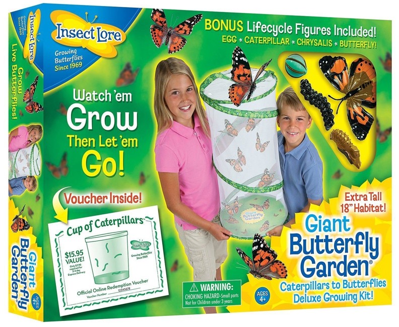 Insect Lore - Giant Butterfly Garden