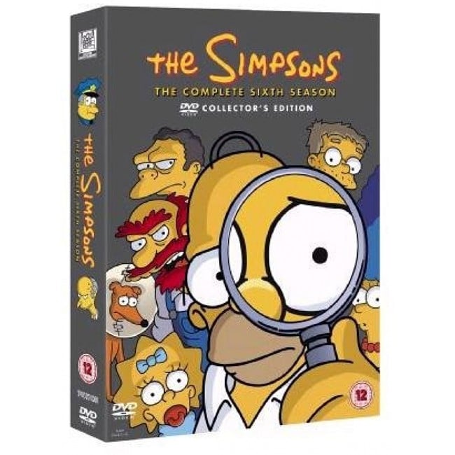 The Simpsons - Season 6 DVD