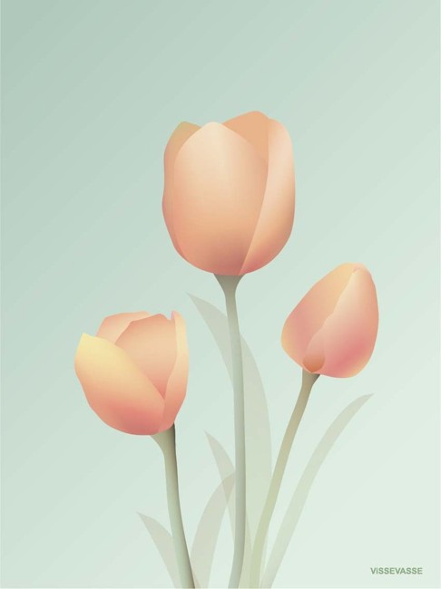 Vissevasse - Tulipaner Mint Plakat 30 x 40 cm