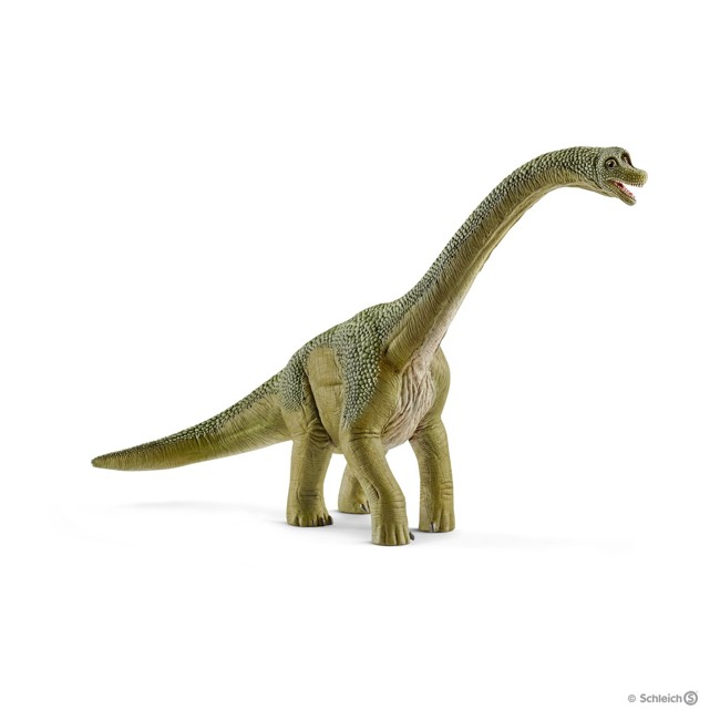 Schleich - Dinosaurs - Brachiosaurus (14581)