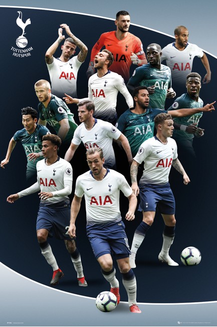 Tottenham Hotspur Players 18/19 Maxi Poster