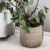 House Doctor - Plant Basket Set of 2 - Natur (212470103) thumbnail-3