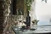 Luigi Bormioli - Atelier White Wine Glass Sauvignon 35 cl - 6 pack (21338) thumbnail-5