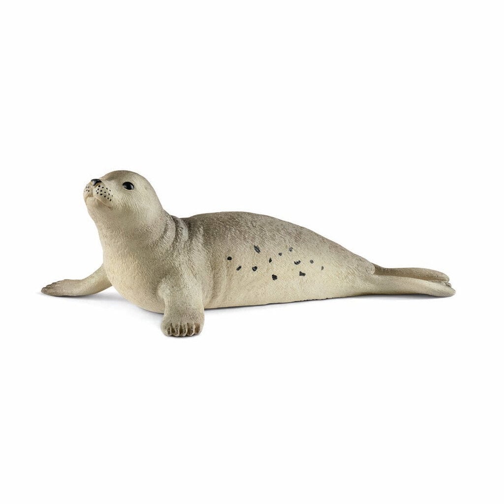 Schleich - Wild Life - Seal (14801)