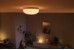 Philips Hue - Flourish Loftslampe BT - White & Color Ambiance thumbnail-12