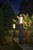 Philips Hue - Impress Post Black Outdoor - White & Color Ambiance  - s thumbnail-15