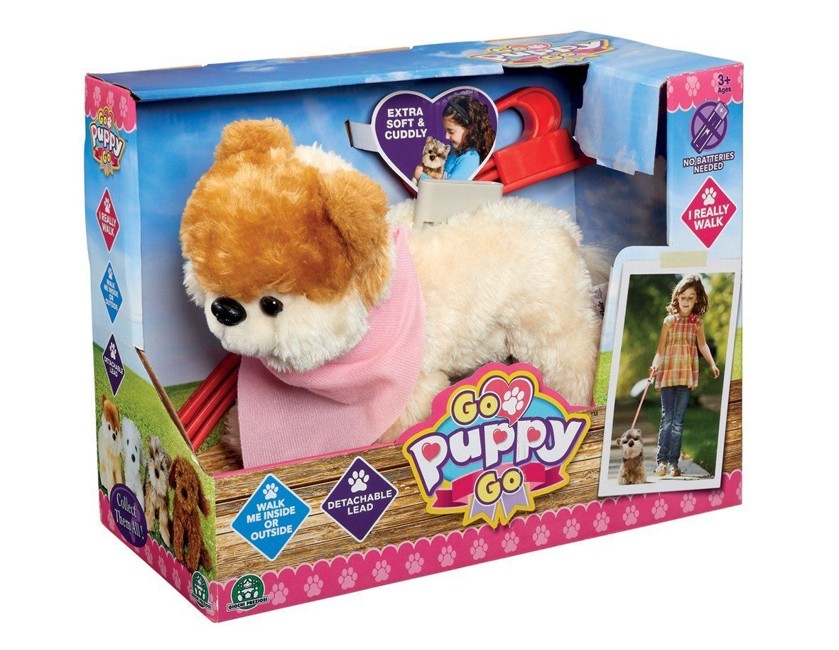 Go Puppy Go - Sammy The Pomeranian