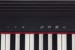 Roland - Go : Piano - Digital Piano thumbnail-6