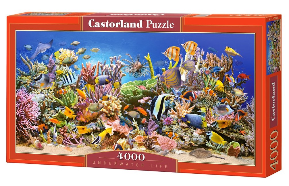 Puzzle 4000 bit, Underwater life