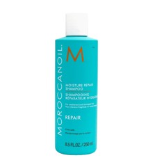 MOROCCANOIL - Moisture Repair Shampoo 250 ml